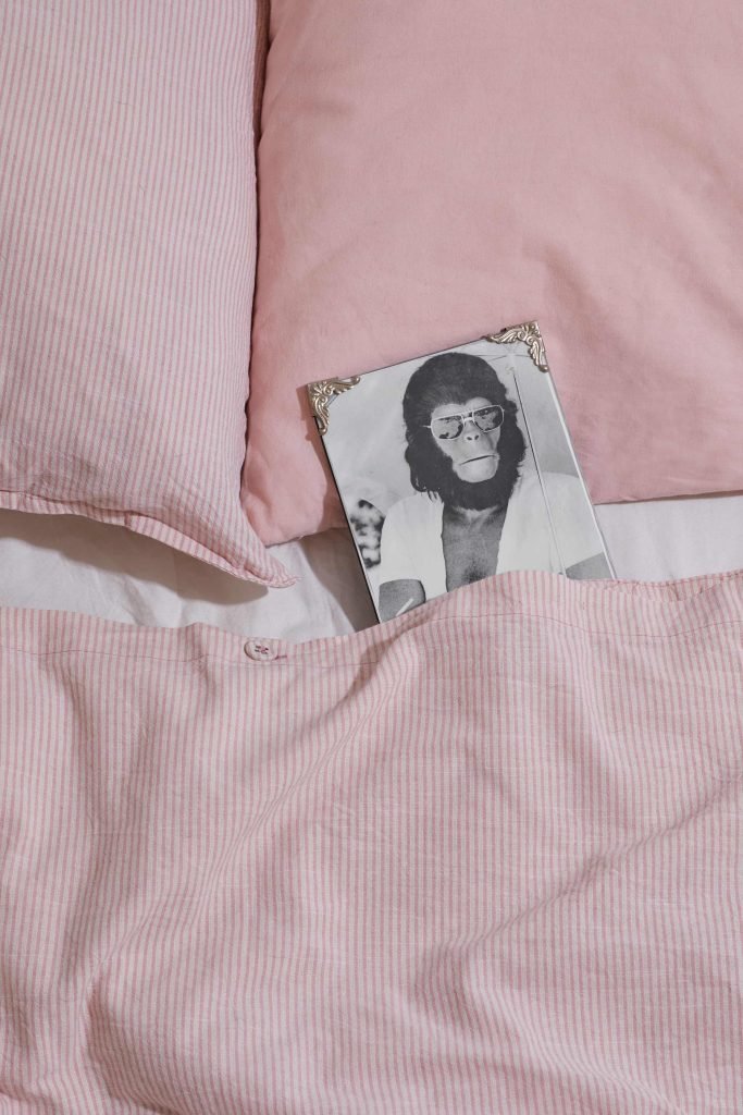 Laura Baiardini x Mordre les Nuages