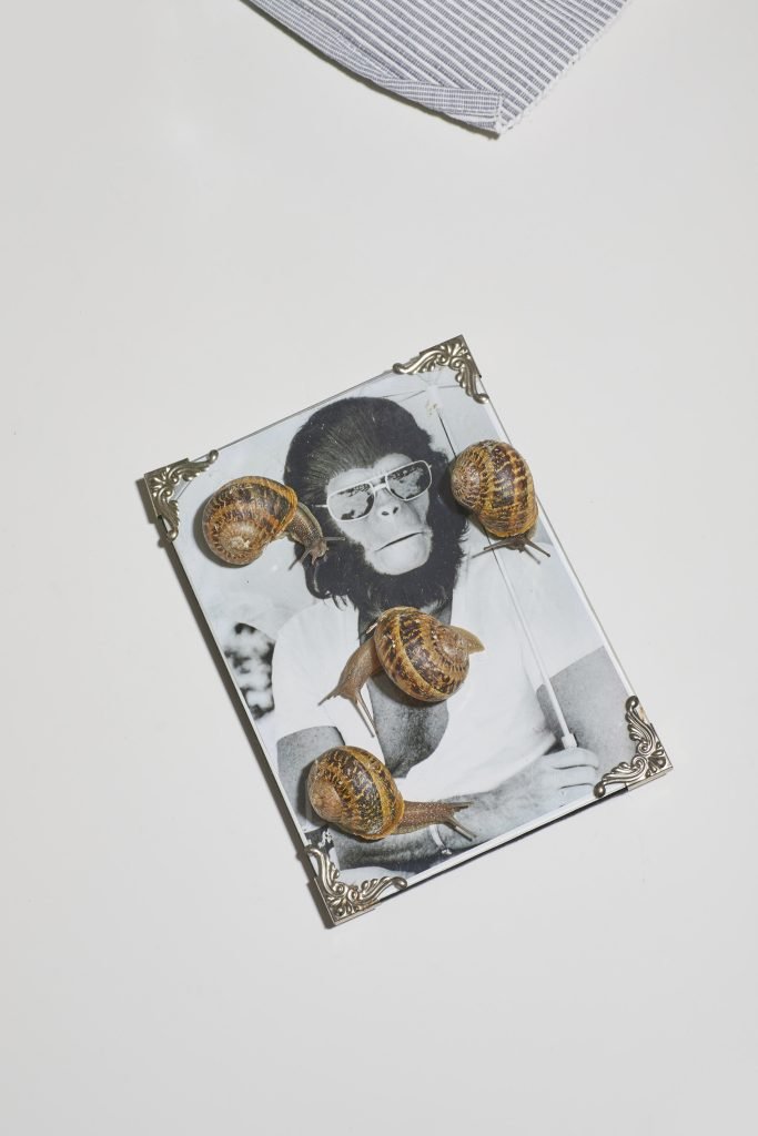 Laura Baiardini x Mordre les Nuages