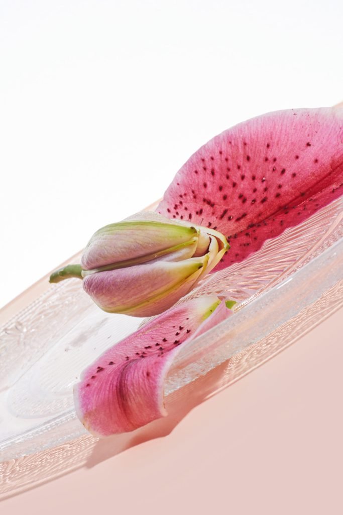 Laura Baiardini x Mordre les Nuages