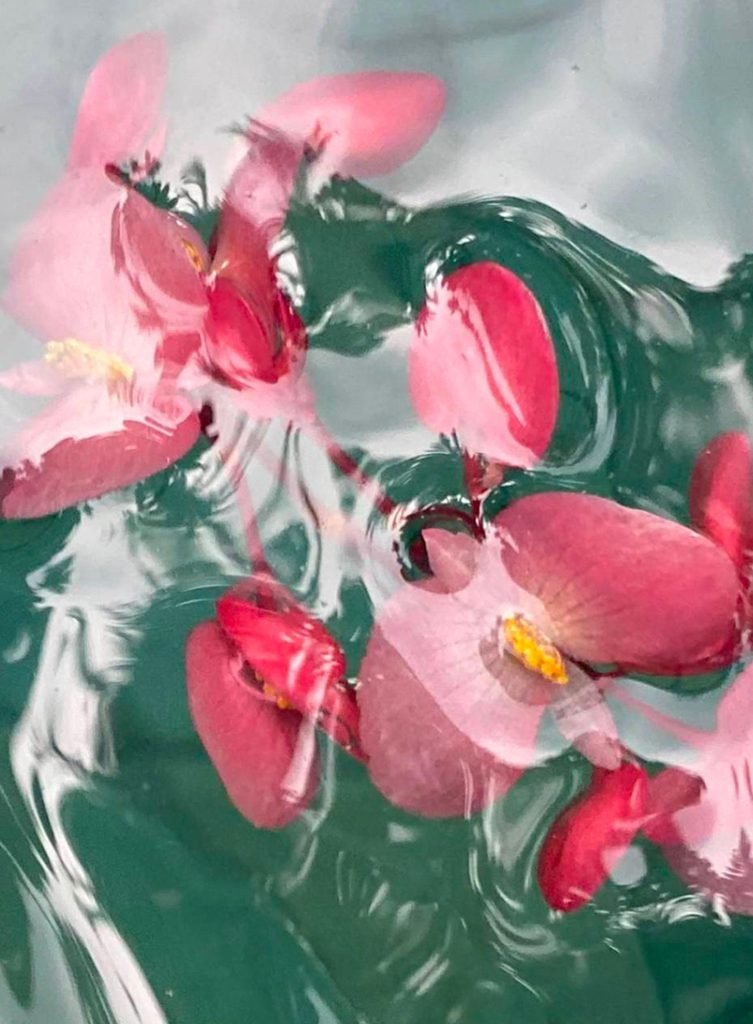 siam dream shooting mordre les nuages