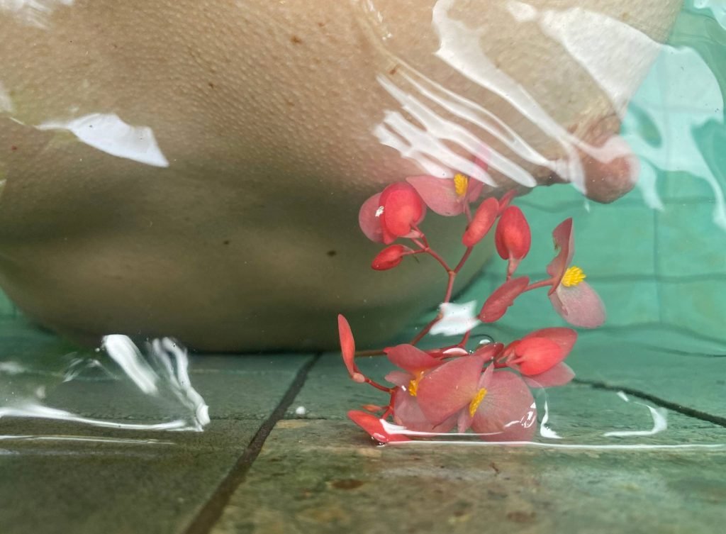 mordre les nuages siam dream